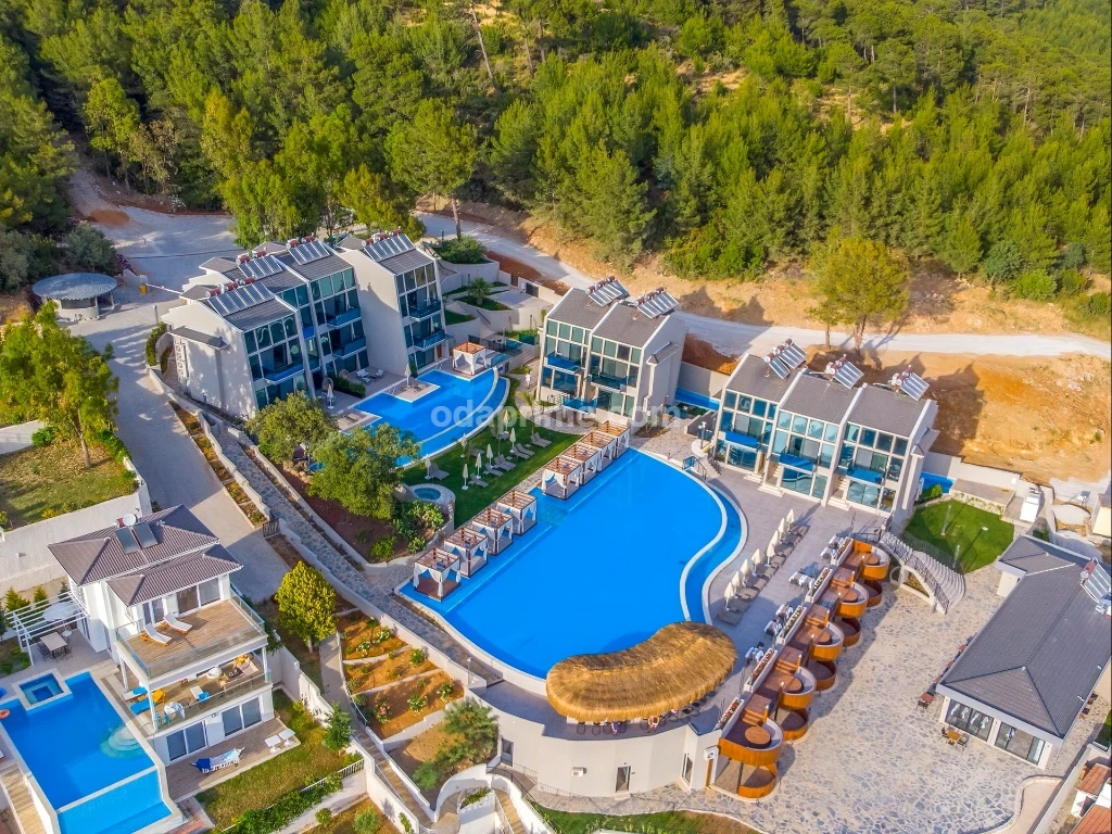Villa Suit Pent House  - 3