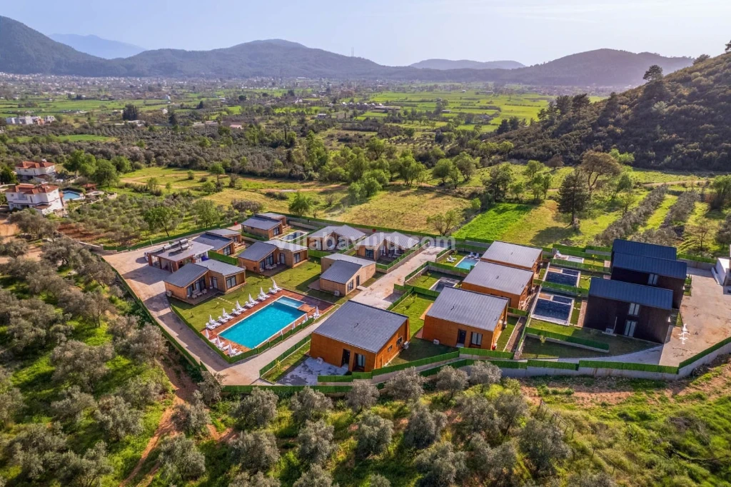 Villa Life Green 1